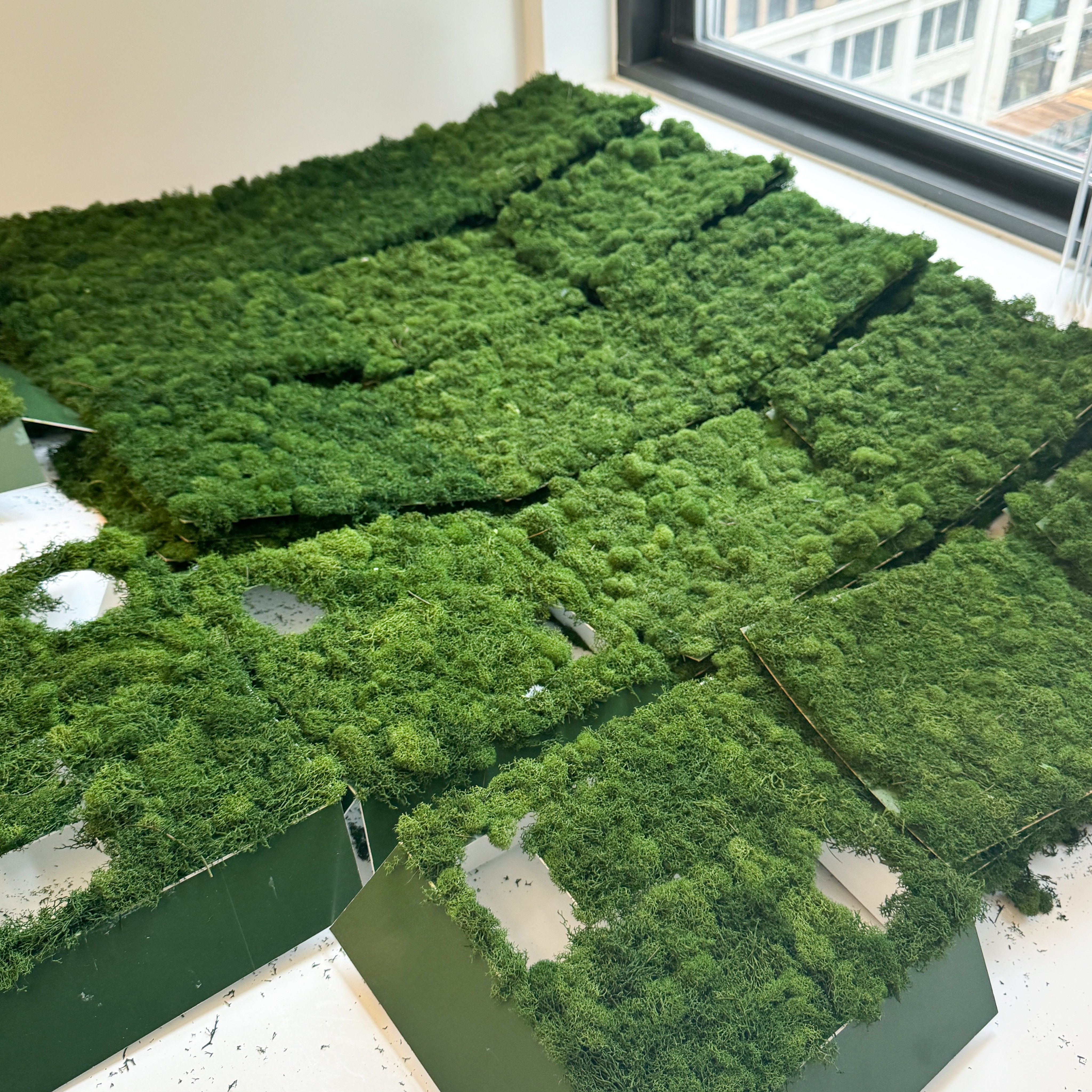 The moss being grown and maintained which will be used in the SZA and Mastercard influencer box interior. 